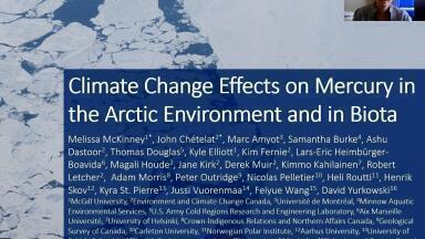 Climate Change Effects on Mercury in the Arctic Environment and in Biota